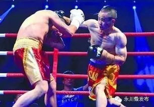 永川茶旅歡樂多 看拳王爭霸、品六大名茶、解鎖動物奧運會新玩法